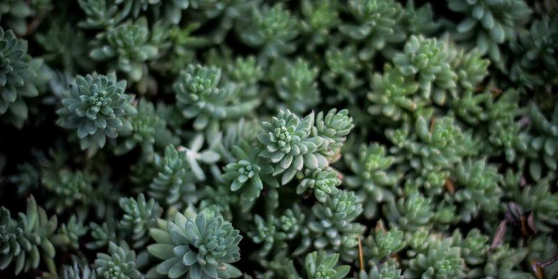 Health Management：超越健身服务，构建可持续的健康生活方式