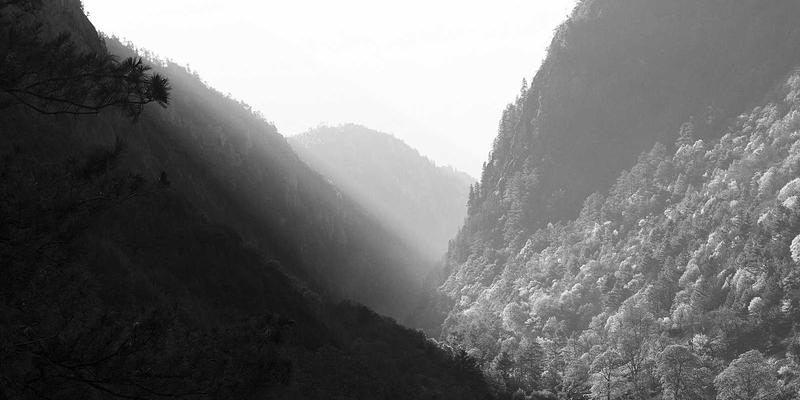 个人健康管理完全指南：从科学训练到终身健康