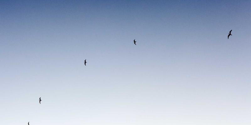 从倦怠到焕发：如何通过健康生活方式与运动指导构建企业员工心理弹性系统