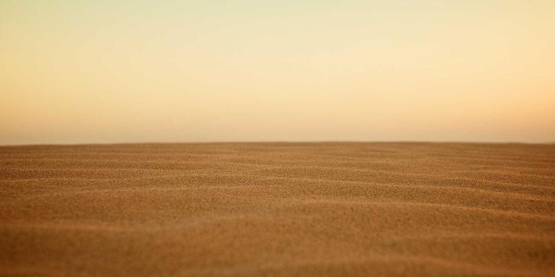 从健康咨询到全面管理：构建科学个人健康体系的三大支柱