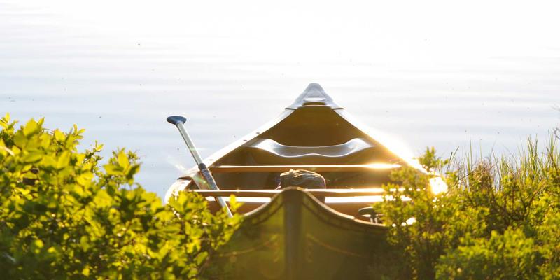 从基因蓝图到健康生活：基于基因检测的预防性健康管理革命