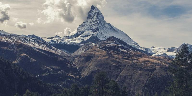 从肠道出发：基于菌群检测的精准营养与运动指导，重塑代谢健康