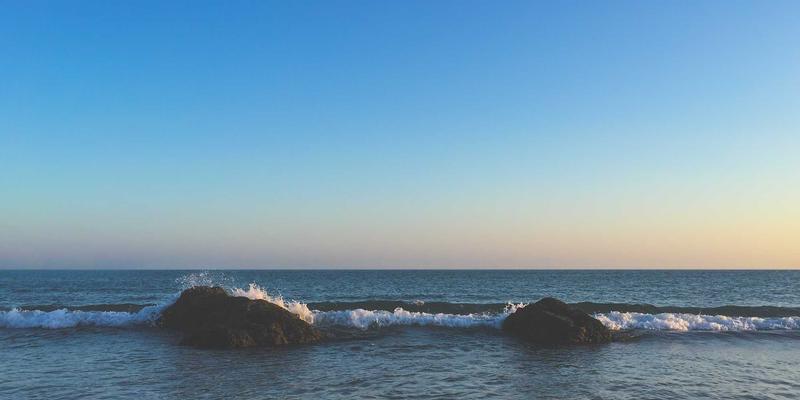 企业健康管理新趋势：数据分析如何驱动员工健康，降低医疗成本并提升生产力