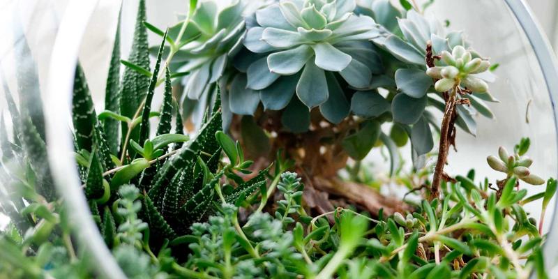 企业健康管理计划ROI分析：量化健康投资回报，提升组织效能