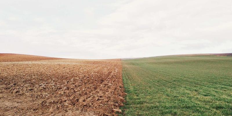 健康管理中的行为经济学：如何利用助推理论设计可持续的健康习惯