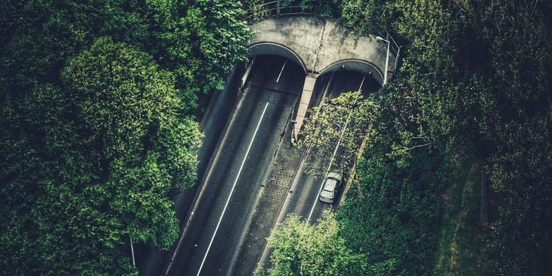 健康管理新思维：全面解析Wellness、Fitness Services与Health Consultation的核心差异与协同