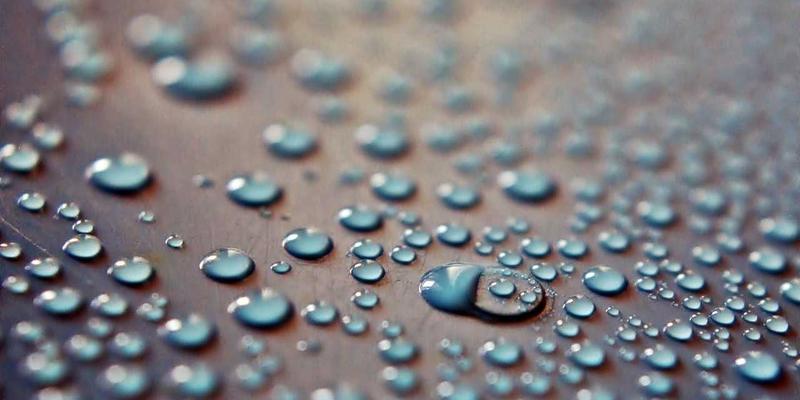 健康管理新纪元：专业咨询、个人训练与生活方式的完美融合