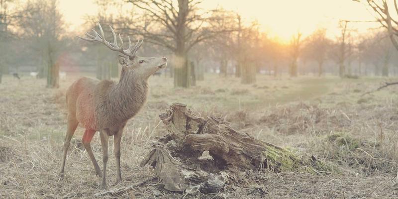 健康管理新纪元：从健康生活方式到专业咨询，构建您的全方位健康防御体系