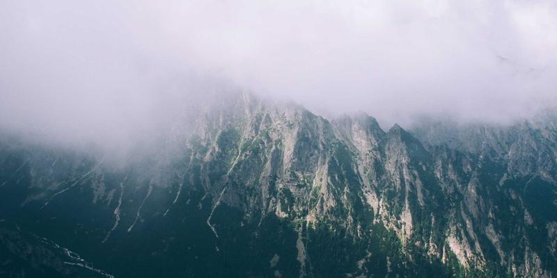 健康管理新范式：营养干预与运动计划的协同作用如何优化代谢健康