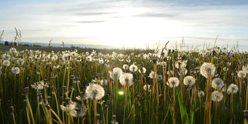 睡眠健康管理：融合认知行为疗法与环境优化的全方位健康生活策略