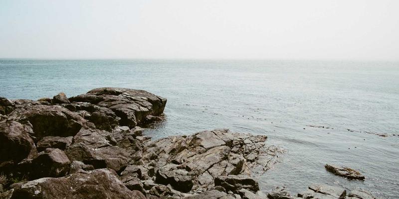 老年肌少症的运动治疗与营养协同管理方案：Personal Training与Health Consultation的整合策略