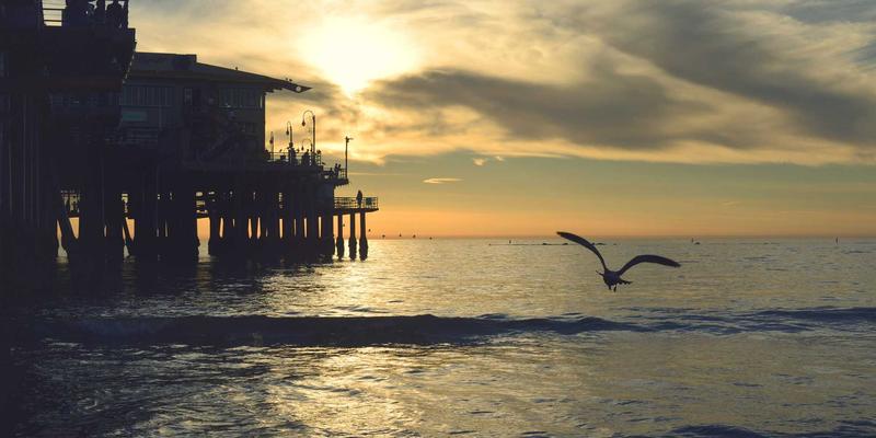 肠道菌群与健康管理新纪元：从微生物组检测到个性化饮食干预