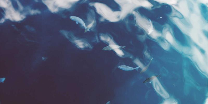 超越健身房：个人训练如何成为现代健康管理的核心支柱