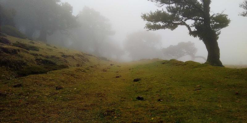 超越药物：以健康管理与生活方式为核心的慢性疼痛管理策略