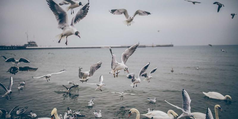 远程医疗时代：医生如何通过健康管理平台实现高效患者随访与wellness促进