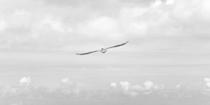 银发族健康管理新趋势：融合居家安全、认知训练与慢病管理的全方位健康生活方式